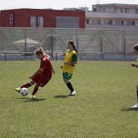 IMG 0485